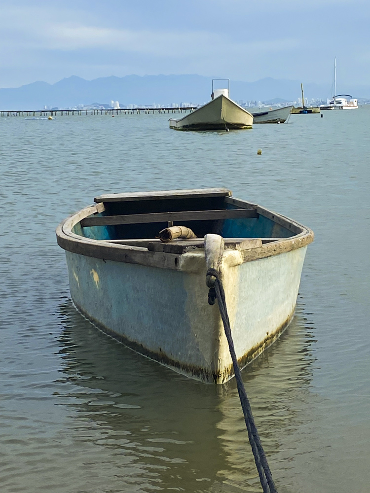 Foto 22-7-22 16 13 13